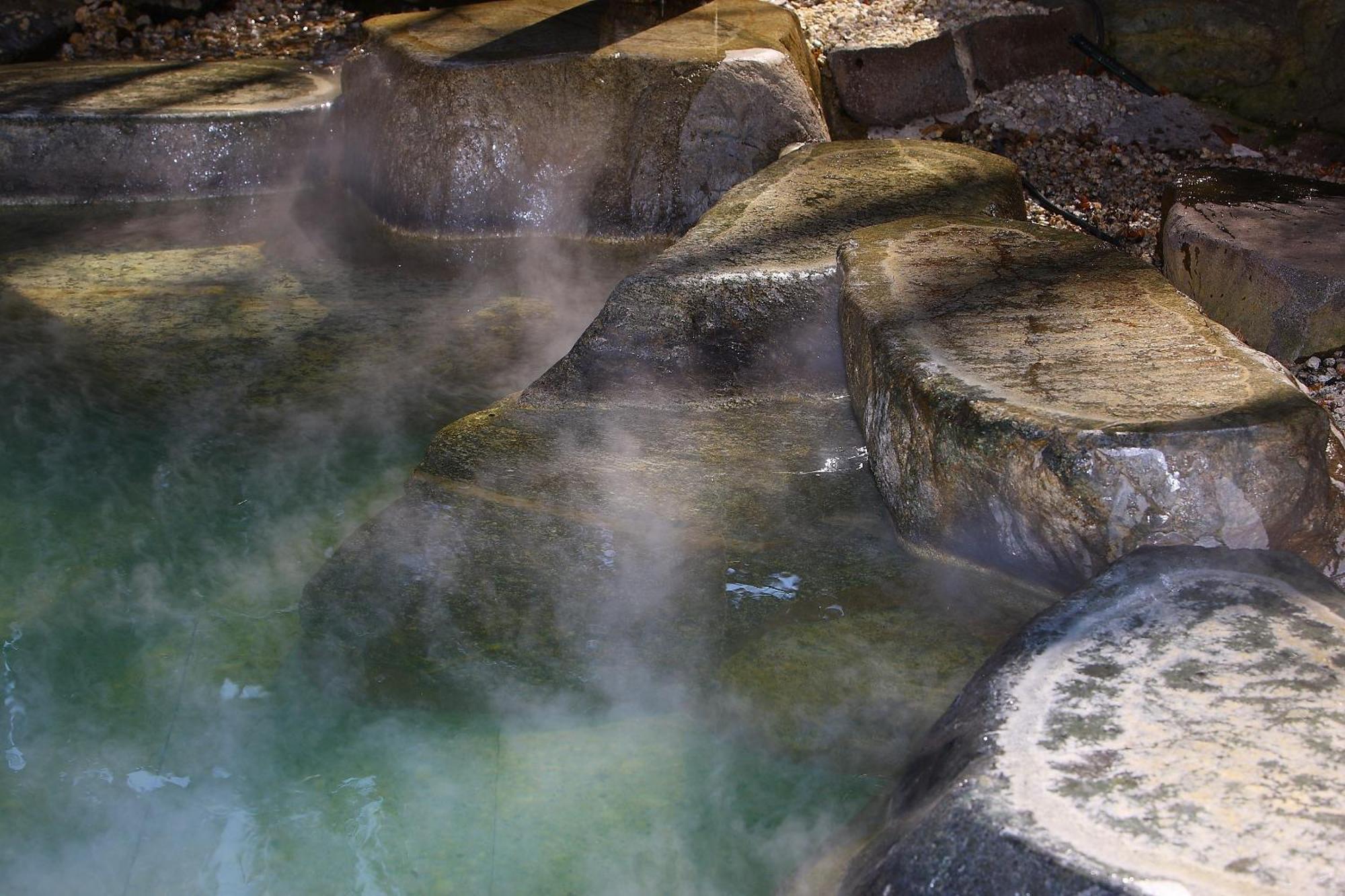 Ryokan Senpokaku 4*